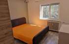 Apartament de vanzare ,2 camere Brazda lui Novac - 6