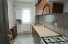 3 CAM PODU ROS PALAS PRIMAVERII PASAPOARTE PRIMA INCHIRIERE RENOVAT - 7