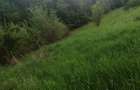PERSOANA FIZICA VAND Teren 3000 mp Babana Arges 8 euro mp langa Primarie - 1