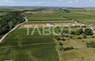 Teren intravilan 2000 mp si extravilan 1150 mp de vanzare in Vad - 5