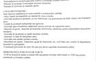 TEREN INTRAVILAN 2034 MP IN CENTRUL Baciului! 265000 negociabil! - 7