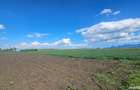 vand teren intravilan - 3
