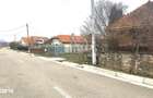Proprietate de vanzare - Rasvovi?a, Comuna Lele?ti! - 8