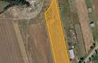 Teren 6.000 mp Carligei, Bucovat 3 km de intrarea in Craiova