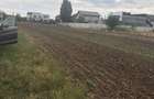 Teren de 390 mp, în Berceni - 2