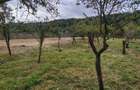Vanzare casa + 2.250 mp teren | Draganu, Arge? | strada principala | Proprietar - 2