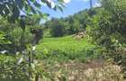 Teren intravilan 960 mp, zona Hemeius - 4
