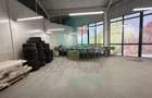 Spatii comerciale de inchiriat in PIATA DELFINULUI - 8