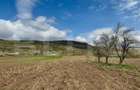 Teren intravilan de vanzare, 1500 mp, zona ?oimu? - 1