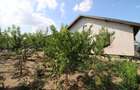 Casa noua 4 camere Tulucesti, panouri fotovoltaice, mobilata+utilata - 15