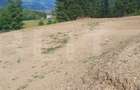 Teren 18.933 mp, parcelabil, zona Vatra Dornei - 3