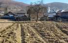 Teren agricol sat.Voroveni - 8