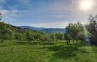 Teren extravilan de vanzare, Com. Nucsoara, Jud. Arges, 10/mp - 7