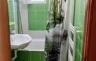 Apartament cu 2 camere în Șega - 6