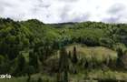 Extravilan + Intravilan | Satic-Rucar | Cadru natural | Turistic