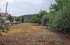 Teren Valea Mare -Podgoria 860 mp - 1