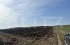 TEREN ARABIL EXTRAVILAN 15.000 mp SANTUHALM - 3