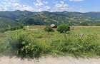 Inchiriez sau vand teren intravilan Muntele Rece - 10524 mp - 4