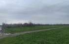 frumusani, teren de vanzare extravilan- direct proprietar - 2