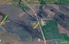 Nicolint, 2 Terenuri Extravilane, Arabil, 1.45 Hectare - 1