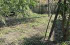 Casă cu Teren 1800 Mp în Smârdan - 4
