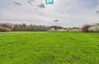 Teren intravilan, 820 mp, Padure Giroc - 1