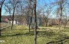 Casa din caramida cu anexa si teren 33 ari in Manau, Maramures - 6