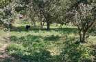 Casa teren intravilan Poiana Sarata - 2