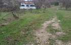 Casa din caramida cu 9000 mp teren - 4