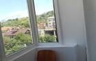 Apartament 2 camere de inchiriat, cartier flamanda - 6