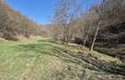 Teren Ideal Cabana Pensiune Valea Draganului, Vedere Panoramica ?i Utilita?i - 5