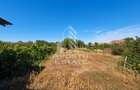 Doua case de vanzare cu 2533 mp teren, localitatea Pesac, Timis