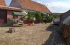 Imobiliare,casa si gradina - 2