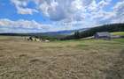 Teren de vanzare 15 hectare in Bucovina Moldova Sulita zona Lucina - 8