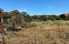 Casa de vanzare + teren 1.080 mp Miercurea Sibiului - 12