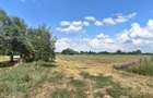 Teren extravilan/intravilan de vanzare in Nufarul, Oradea - 3