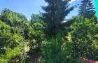 De vânzare Apartament 1 cameră | 42 mp | Gruia - 13