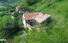Casa traditionala, investitie potential de dezvoltare, 65 mp, Capalna, - 17