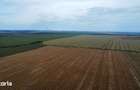 Teren intravilan 47.300 mp Cumpana, jude?ul Constan?a - 6