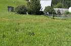 Teren 7 Hectare Brodina Suceava Par?ial Intravilan, Casa + Anexe, Zona de Munte | Ocazie - 2