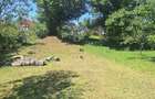Teren intravilan de vanzare in ?aula (Nr. 88) 3.675 mp - 5