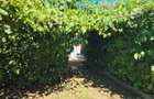 Vind casa 2 camere, in Dorobanti 2, str. INTRAREA PLAIULUI nr. 13 - 5