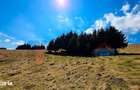 Teren Deosebit | Panoramic + PUZ+Cabana | Drumul Paltinisului | 746mp - 8