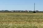 Parcele teren intravilan 500 mp Ciorogarla Ideal Casa / Investitie 20/mp