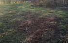 Vand Teren Intravilan - 2