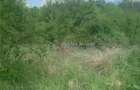 Teren intravilan 500 mp - Ganeasa - 4