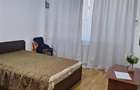 Garsonieră decomandată în Berceni - 9