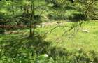 Teren de cabana pe Valea Recii( sat Strungari) - 3
