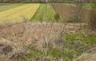 Vand teren la 2 min de Hunedoara - 2