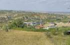 Teren agricol intravilan de 6372 mp, în Paleu - 2 Teren agricol intravilan de 6372 mp, în Paleu - 2